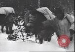 Immagine di I soldati tedeschi sugli sci nella seconda guerra mondiale Unione Sovietica, 1943, secondo 16 filmato di repertorio 65675059096
