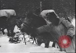 Immagine di I soldati tedeschi sugli sci nella seconda guerra mondiale Unione Sovietica, 1943, secondo 17 filmato di repertorio 65675059096