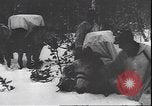 Immagine di I soldati tedeschi sugli sci nella seconda guerra mondiale Unione Sovietica, 1943, secondo 18 filmato di repertorio 65675059096