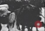 Immagine di I soldati tedeschi sugli sci nella seconda guerra mondiale Unione Sovietica, 1943, secondo 26 filmato di repertorio 65675059096