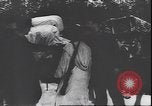 Immagine di I soldati tedeschi sugli sci nella seconda guerra mondiale Unione Sovietica, 1943, secondo 28 filmato di repertorio 65675059096