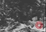 Immagine di I soldati tedeschi sugli sci nella seconda guerra mondiale Unione Sovietica, 1943, secondo 41 filmato di repertorio 65675059096
