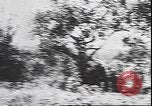 Immagine di Le truppe tedesche in lotta durante la ritirata dalla Calabria Calabria Italia, 1944, secondo 6 filmato di repertorio 65675059102