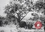 Immagine di Le truppe tedesche in lotta durante la ritirata dalla Calabria Calabria Italia, 1944, secondo 7 filmato di repertorio 65675059102