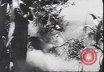 Immagine di Le truppe tedesche in lotta durante la ritirata dalla Calabria Calabria Italia, 1944, secondo 8 filmato di repertorio 65675059102