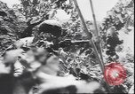 Immagine di Le truppe tedesche in lotta durante la ritirata dalla Calabria Calabria Italia, 1944, secondo 13 filmato di repertorio 65675059102