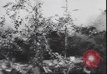 Immagine di Le truppe tedesche in lotta durante la ritirata dalla Calabria Calabria Italia, 1944, secondo 32 filmato di repertorio 65675059102