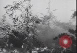 Immagine di Le truppe tedesche in lotta durante la ritirata dalla Calabria Calabria Italia, 1944, secondo 33 filmato di repertorio 65675059102