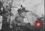 Immagine di Le truppe tedesche in lotta durante la ritirata dalla Calabria Calabria Italia, 1944, secondo 40 filmato di repertorio 65675059102