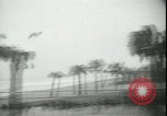 Immagine di Uragano Helene United States USA, 1958, secondo 10 filmato di repertorio 65675059103