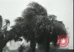 Immagine di Uragano Helene United States USA, 1958, secondo 20 filmato di repertorio 65675059103