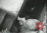 Immagine di Giornalisti Quemoy Cina, 1958, secondo 45 filmato di repertorio 65675059105