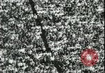Image of Ohio State Buckeyes Columbus Ohio USA, 1958, second 38 stock footage video 65675059108