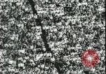 Image of Ohio State Buckeyes Columbus Ohio USA, 1958, second 39 stock footage video 65675059108