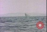 Image of USS Gamble DD-123-DM-15 Guam Mariana Islands, 1945, second 29 stock footage video 65675059110