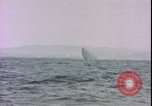 Image of USS Gamble DD-123-DM-15 Guam Mariana Islands, 1945, second 30 stock footage video 65675059110