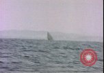 Image of USS Gamble DD-123-DM-15 Guam Mariana Islands, 1945, second 33 stock footage video 65675059110