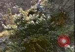Image of United States sailors Okinawa Ryukyu Islands, 1945, second 4 stock footage video 65675059113