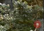 Image of United States sailors Okinawa Ryukyu Islands, 1945, second 5 stock footage video 65675059113