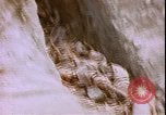 Image of United States sailors Okinawa Ryukyu Islands, 1945, second 18 stock footage video 65675059113
