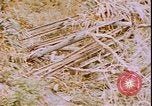 Image of United States sailors Okinawa Ryukyu Islands, 1945, second 22 stock footage video 65675059113