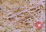 Image of United States sailors Okinawa Ryukyu Islands, 1945, second 23 stock footage video 65675059113