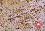 Image of United States sailors Okinawa Ryukyu Islands, 1945, second 24 stock footage video 65675059113