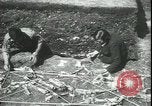 Image les archéologues Saint Albans Angleterre, 1931, de la seconde 29 séquences d'archives historiques vidéo 65675059119