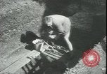 Image les archéologues Saint Albans Angleterre, 1931, de la seconde 32 séquences d'archives historiques vidéo 65675059119