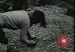 Image les archéologues Saint Albans Angleterre, 1931, de la seconde 47 séquences d'archives historiques vidéo 65675059119