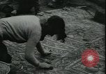 Image les archéologues Saint Albans Angleterre, 1931, de la seconde 48 séquences d'archives historiques vidéo 65675059119