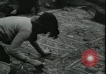 Image les archéologues Saint Albans Angleterre, 1931, de la seconde 49 séquences d'archives historiques vidéo 65675059119