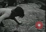 Image les archéologues Saint Albans Angleterre, 1931, de la seconde 50 séquences d'archives historiques vidéo 65675059119