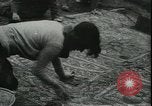 Image les archéologues Saint Albans Angleterre, 1931, de la seconde 51 séquences d'archives historiques vidéo 65675059119