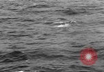 Immagine di USS Franklin Oceano Pacifico, 1945, secondo 7 filmato di repertorio 65675059126