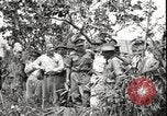 Immagine di Generale MacArthur Balikpapan Borneo Indonesia, 1945, secondo 35 filmato di repertorio 65675059138