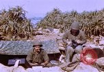 Image of United States Marines Philippines, 1945, second 30 stock footage video 65675059141