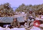 Image of United States Marines Philippines, 1945, second 31 stock footage video 65675059141