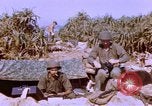 Image of United States Marines Philippines, 1945, second 33 stock footage video 65675059141