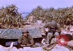 Image of United States Marines Philippines, 1945, second 35 stock footage video 65675059141