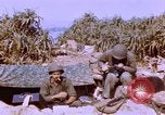 Image of United States Marines Philippines, 1945, second 36 stock footage video 65675059141
