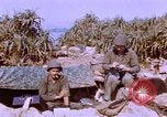 Image of United States Marines Philippines, 1945, second 37 stock footage video 65675059141