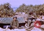 Image of United States Marines Philippines, 1945, second 38 stock footage video 65675059141