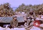 Image of United States Marines Philippines, 1945, second 39 stock footage video 65675059141