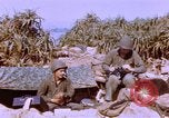 Image of United States Marines Philippines, 1945, second 40 stock footage video 65675059141
