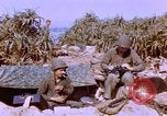 Image of United States Marines Philippines, 1945, second 41 stock footage video 65675059141