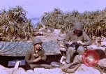 Image of United States Marines Philippines, 1945, second 42 stock footage video 65675059141