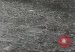 Immagine di 1a divisione di cavalleria Teatro pacifico, 1945, secondo 22 filmato di repertorio 65675059146