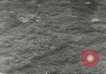 Immagine di 1a divisione di cavalleria Teatro pacifico, 1945, secondo 23 filmato di repertorio 65675059146