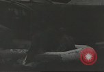 Immagine di 1a divisione di cavalleria Teatro pacifico, 1945, secondo 41 filmato di repertorio 65675059146